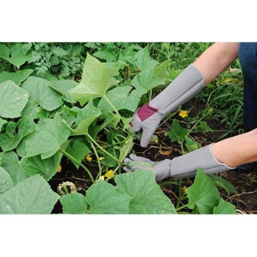 Professional Rose Pruning Thorn Proof Gardening Gloves with Extra ...