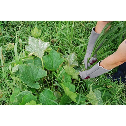 Professional Rose Pruning Thorn Proof Gardening Gloves with Extra ...