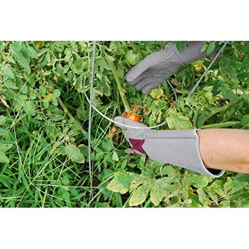 Professional Rose Pruning Thorn Proof Gardening Gloves with Extra ...