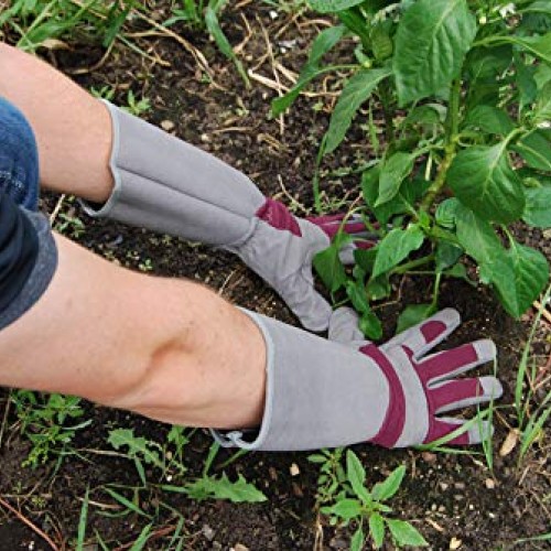 Professional Rose Pruning Thorn Proof Gardening Gloves with Extra ...