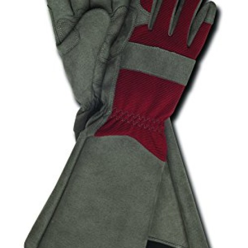 Professional Rose Pruning Thorn Proof Gardening Gloves with Extra ...