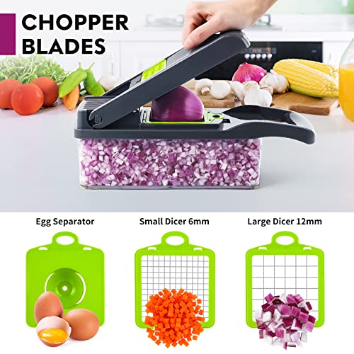 Vegetable Chopper, Pro Onion Chopper, Multifunctional 13 in 1 Food...