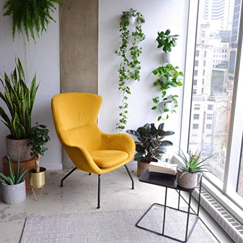 Set of 6 Round Wall Planters - Lightweight and Easy To Install - D...