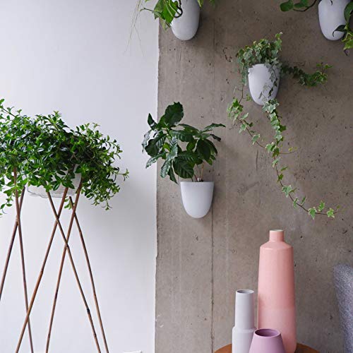 Set of 6 Round Wall Planters - Lightweight and Easy To Install - D...