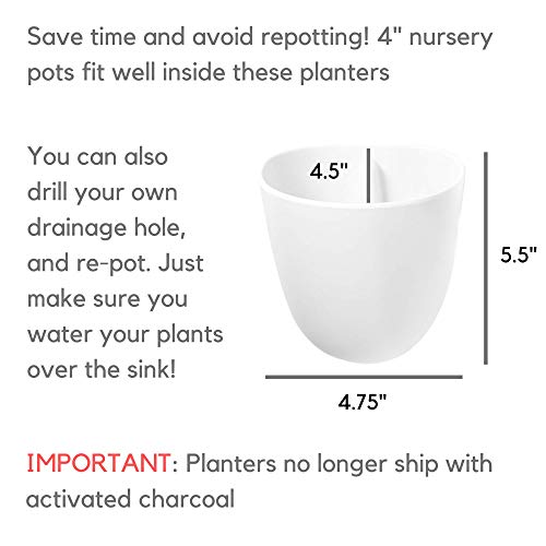 Set of 6 Round Wall Planters - Lightweight and Easy To Install - D...