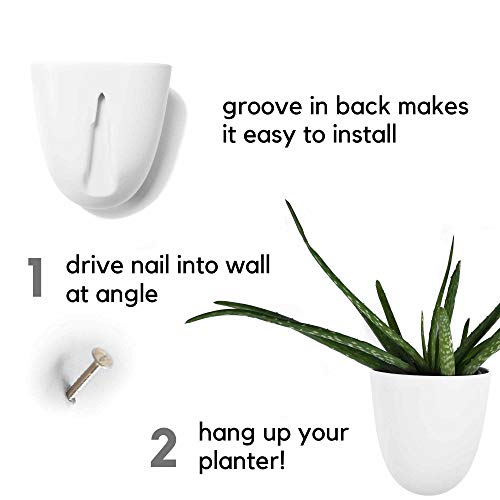 Set of 6 Round Wall Planters - Lightweight and Easy To Install - D...