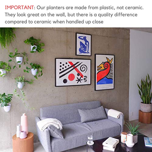 Set of 6 Round Wall Planters - Lightweight and Easy To Install - D...