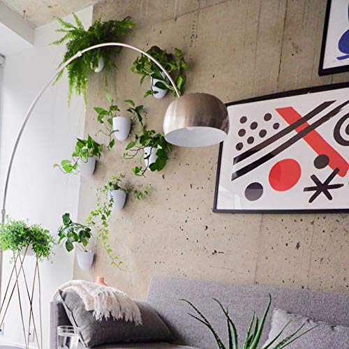 Set of 6 Round Wall Planters - Lightweight and Easy To Install - D...