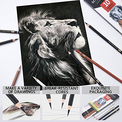 Professional Charcoal Pencils Drawing Set - MARKART 10 Pieces Soft...
