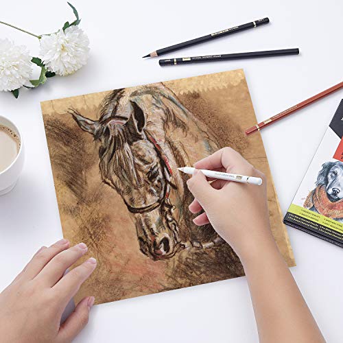 Professional Charcoal Pencils Drawing Set - MARKART 10 Pieces Soft...