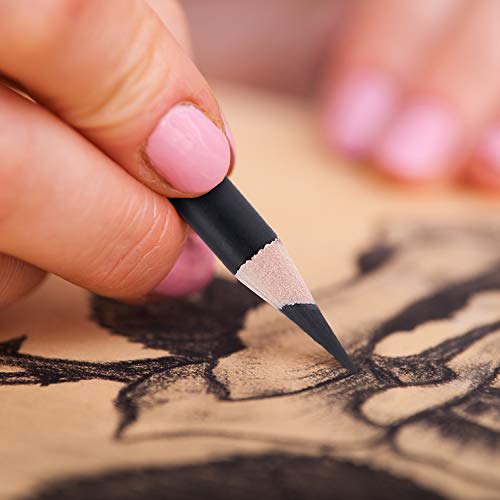 Professional Charcoal Pencils Drawing Set - MARKART 10 Pieces Soft...