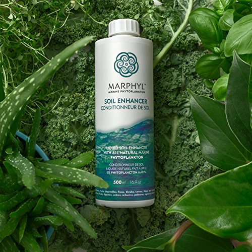 Marine Phytoplankton Micro Seaweed Liquid Organic Fertilizer/Soi...