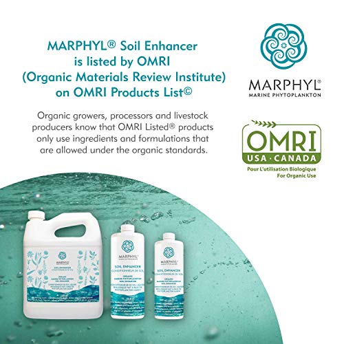Marine Phytoplankton Micro Seaweed Liquid Organic Fertilizer/Soi...