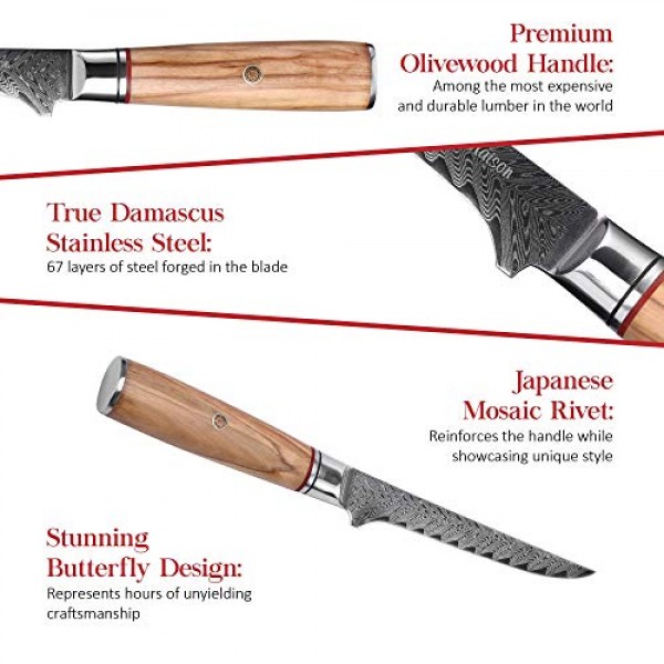6 Damascus Steel Fillet Knife Set | Master Maison AUS-10 Japanese...