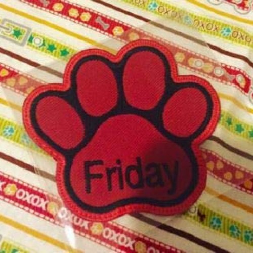 Personalized Custom Dog Name Paw Embroidered Sew Iron on Patch Tag