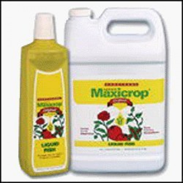 Maxicrop Liquid Fish Fertilizer - Gallon
