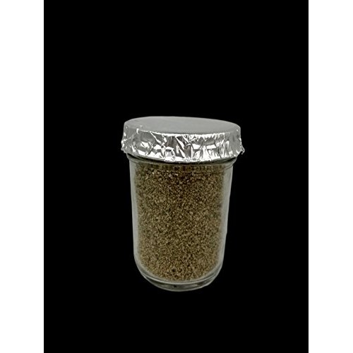 Maximumstore - 12 Ultimate Half Pint Mushroom Substrate Jars, Grow...