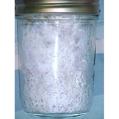 Maximumstore - 12 Ultimate Half Pint Mushroom Substrate Jars, Grow...