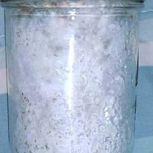 Maximumstore - 12 Ultimate Half Pint Mushroom Substrate Jars, Grow...