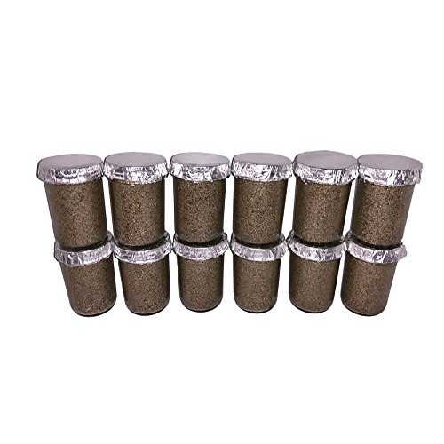 Maximumstore - 12 Ultimate Half Pint Mushroom Substrate Jars, Grow...