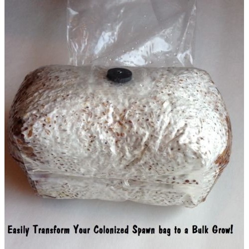 Premium Bulk Mushroom Casing Kit - Mycobag 5 Pounds - Grow Like Magic