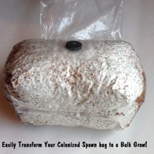Premium Bulk Mushroom Casing Kit - Mycobag 5 Pounds - Grow Like Magic