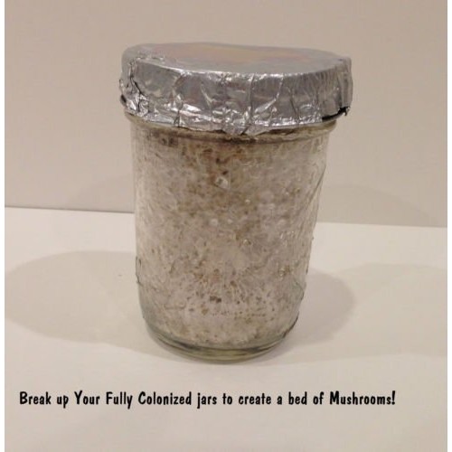 Premium Bulk Mushroom Casing Kit - Mycobag 5 Pounds - Grow Like Magic