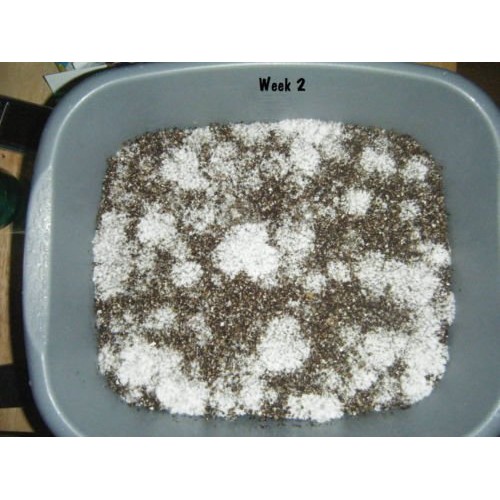 Premium Bulk Mushroom Casing Kit - Mycobag 5 Pounds - Grow Like Magic