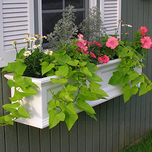 Mayne Fairfield 5822W Window Box Planter, 3-Foot, White