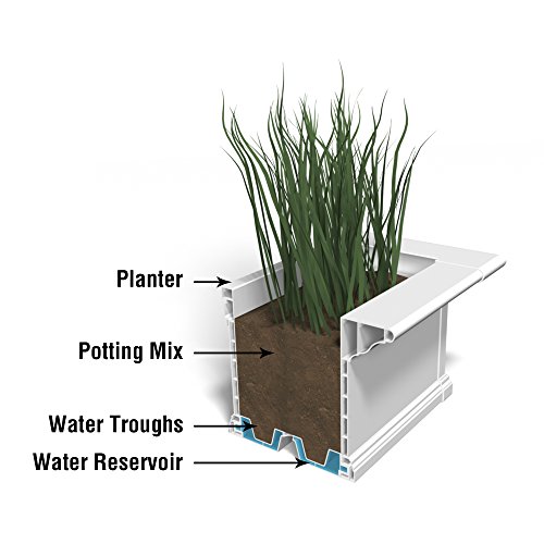 Mayne Yorkshire 6 Window Box Planter 4826