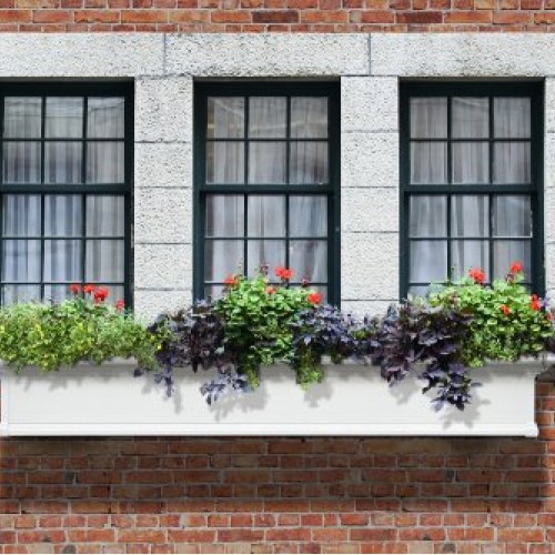 Mayne Yorkshire 6 Window Box Planter 4826