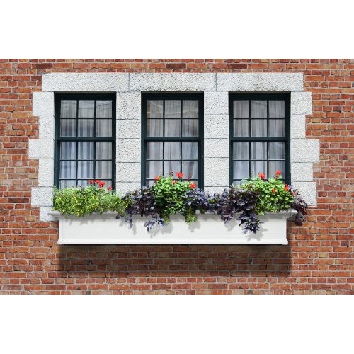 Mayne Yorkshire 6 Window Box Planter 4826