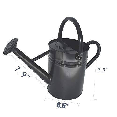 MCMANUS Galvanized Steel Watering Can Metal Watering Can for Outdo...