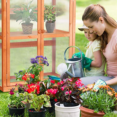 MCombo Wooden Garden Cold Frame Greenhouse Raised Flower Planter S...