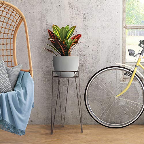 mDesign Midcentury Modern Flower, Plant, and Succulent Stand Minim...