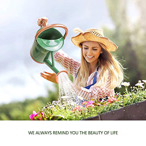 Megawodar Galvanized Steel Watering Can with Copper Accents 1 Gallon