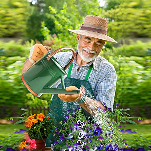 Megawodar Galvanized Steel Watering Can with Copper Accents 1 Gallon