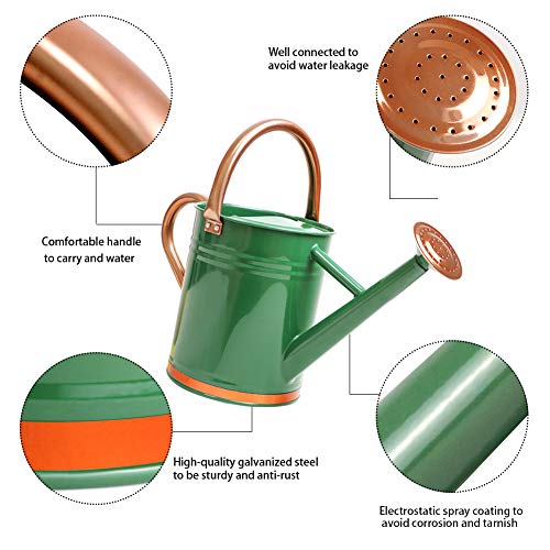Megawodar Galvanized Steel Watering Can with Copper Accents 1 Gallon