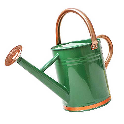 Megawodar Galvanized Steel Watering Can with Copper Accents 1 Gallon