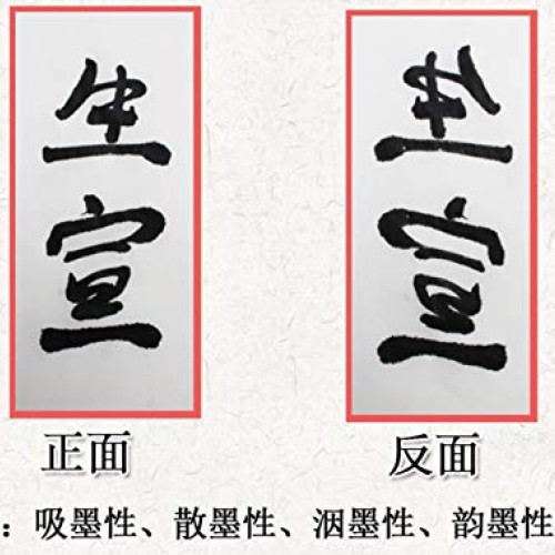 MEGREZ Chinese Japanese Calligraphy Practice Writing Sumi Drawing ...