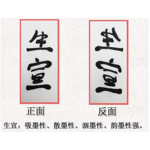 MEGREZ Chinese Japanese Calligraphy Practice Writing Sumi Drawing ...