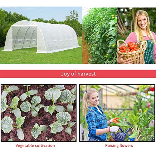 MELLCOM 26 x 10 x 6.6 Greenhouse Large Gardening Plant Hot Hous...