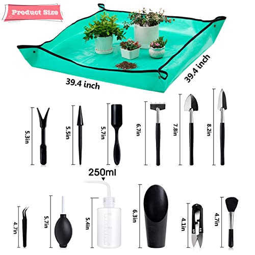 Melphoe 23Pcs Mini Garden Hand Transplanting Succulent Tools Set, ...