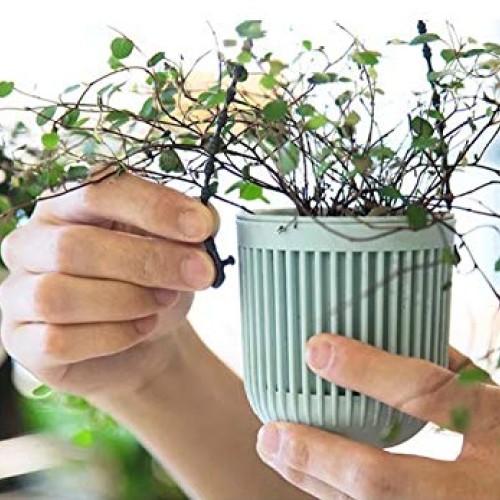 Melphoe 3.5‘’ Two-Piece Succulent Planters Pots with Drainage, Fle...