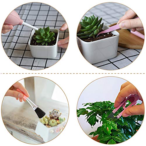 Melphoe Puppy’s Mom 12 Pieces Mini Garden Hand Transplanting Succu...