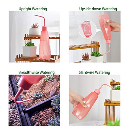 Melphoe Puppy’s Mom 12 Pieces Mini Garden Hand Transplanting Succu...