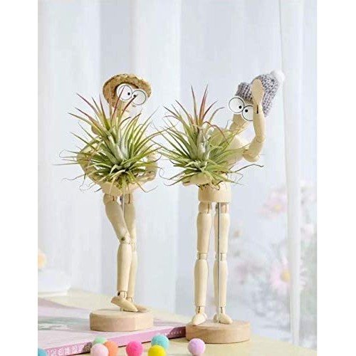 Melphoe Puppys Mom 3 Pack Air Plant Holder Wooden Jointed Mannequ...