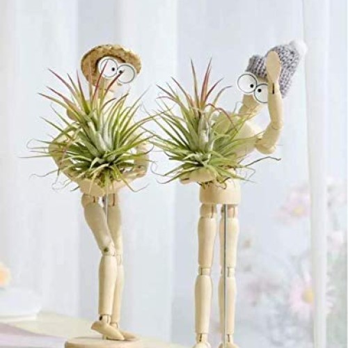 Melphoe Puppys Mom 3 Pack Air Plant Holder Wooden Jointed Mannequ...