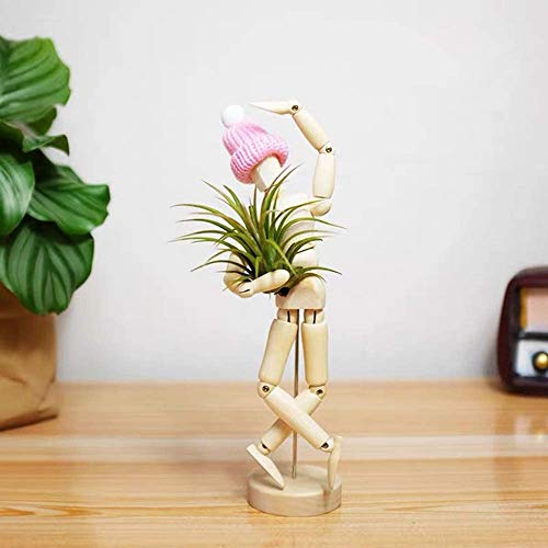 Melphoe Puppys Mom 3 Pack Air Plant Holder Wooden Jointed Mannequ...