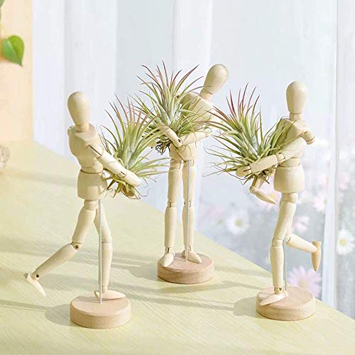 Melphoe Puppys Mom 3 Pack Air Plant Holder Wooden Jointed Mannequ...